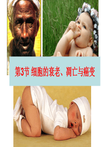 细胞的衰老凋亡与癌变