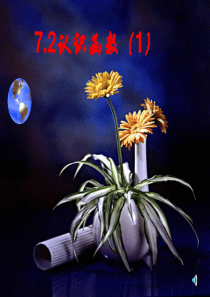 初中数学人教版--认识函数7-人教版