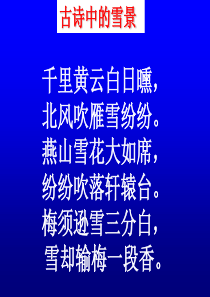 白雪歌送武判官归京-ppt课件完美版