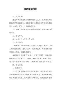 道路实训报告