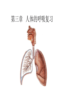 第三章-人体的呼吸资料
