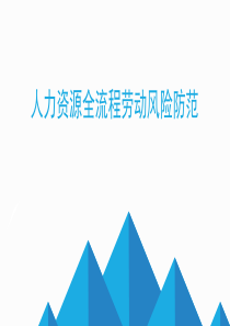 人力资源全流程劳动风险防范课件