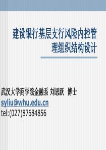 武汉大学金融系博士讲座专题3-建设银行基层支行风险内控管理组织(1)