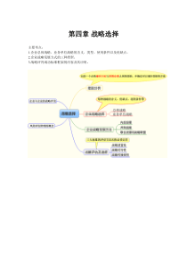注册会计师公司战略与风险管理第四章归纳总结