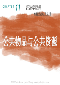 曼昆经济学原理第5版中文课件(陈宇峰编译)第11章