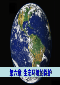 人口增长对生态环境的影响ppt课件
