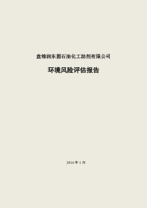 润东圆环境风险评估报告