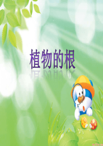 植物的根