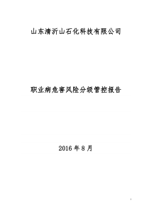 清沂山职业病危害风险分级管控体系建设报告（DOC81页）