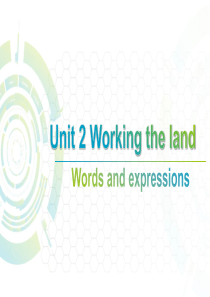 高中英语必修四unit2words