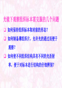 常规石蜡制片HE染色技术