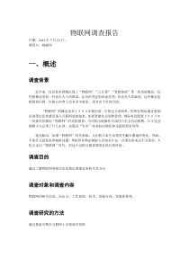 物联网调查报告