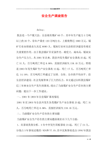 安全生产调查报告