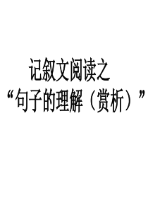 记叙文阅读复习之句子理解与赏析