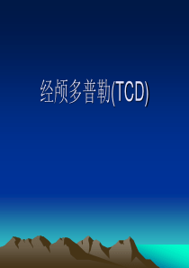 经颅多普勒(TCD)