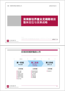 世联-淮南新世界置业龙湖路项目整体定位与发展战略-65页