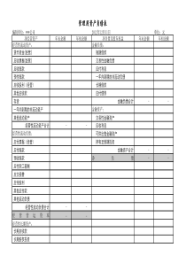 管理用资产负债表模板