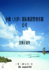 中俄商城发展计划书2