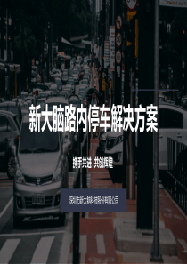 新大脑路边停车解决方案
