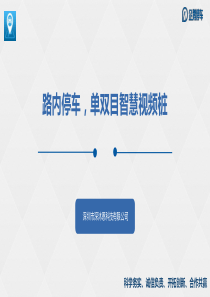 城市路边停车解决方案