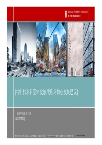 中原_长沙福中福项目整体发展战略及物业发展建议_141PPT_XXXX年