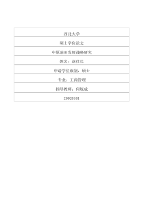中原油田发展战略研究(1)