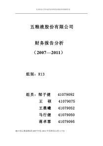 五粮液集团财务分析报告