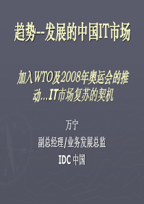 中国IT市场发展趋势