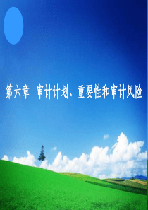 第06章---审计计划、重要性和审计风险