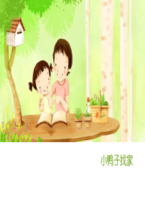 小鸭找家