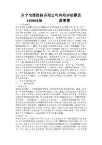 苏宁电器股份有限公司风险评估报告