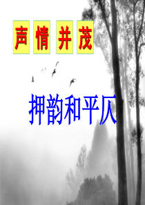 《声情并茂——押韵和平仄》教学课件