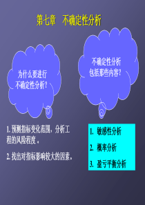 第7章不确定性分析与风险分析