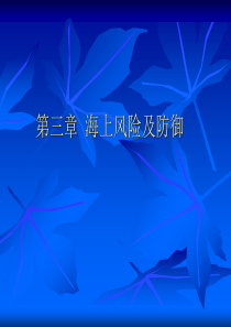 第三章--海上风险及防御