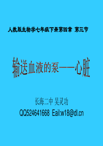 人教版生物学七年级下册第四章第三节