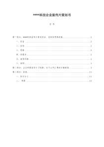 某科技有限公司企业宣传片策划方案