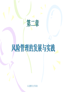 第二章 风险管理的发展与实践