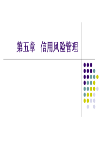 第五章信用风险管理(改)