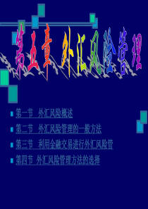 第五章外汇风险管理