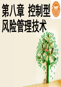 第八章_控制型风险管理技术