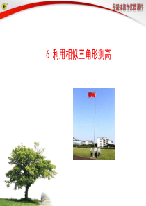 6 利用相似三角形测高2014最新北师大版九年级课件