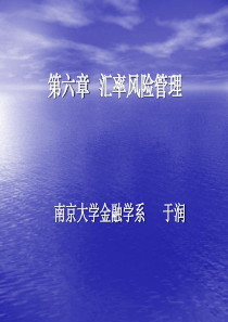 第六章外汇风险管理MBA(1)