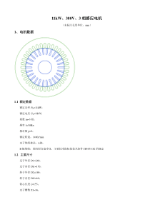 Ansoft-感应电机设计算例