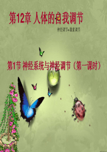 2019-学年北师大版七年级生物下册课件：12.1-神经系统与神经调节(第1课时)教育精品.ppt