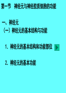生理学神经系统PPT