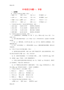 2020年中考语文考点专题训练试题含答案全套精编版