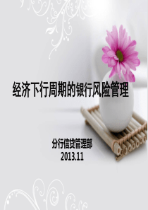 经济下行周期的信贷风险管理2版C