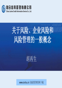 联合信用管理公司风险企业风险和风险管理的一般概念--huzaisheng