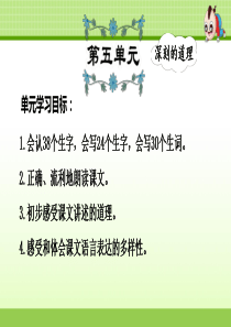 部编版二年级下册语文 第5单元知识梳理及典例专训