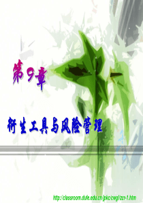 衍生工具与风险管理